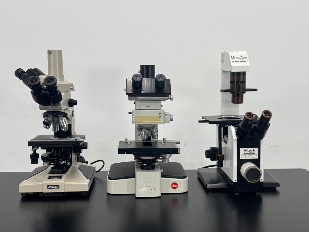 Image of Lot Of Inverted Microscopes
